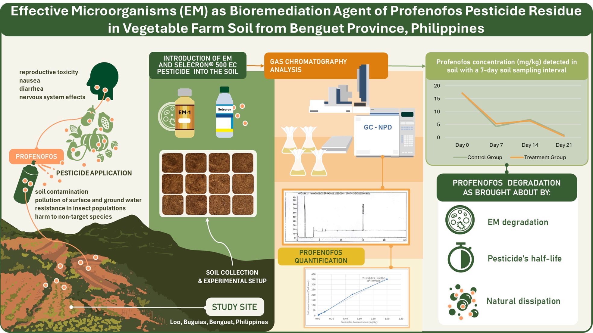 Graphical abstract