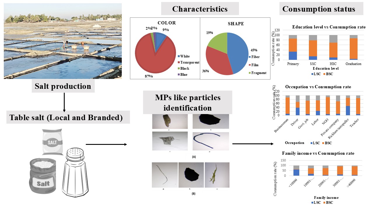 Graphical abstract