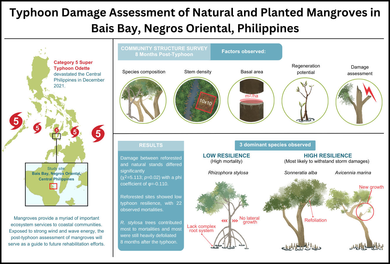 Graphical abstract